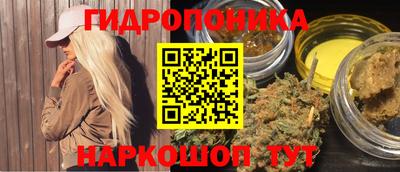 тгк Краснодар