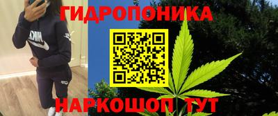 круглые Краснознаменск