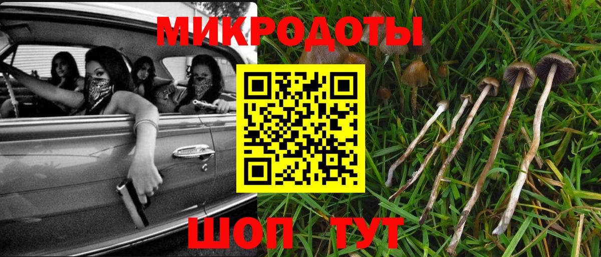 Галлюциногенные грибы Кизилюрт