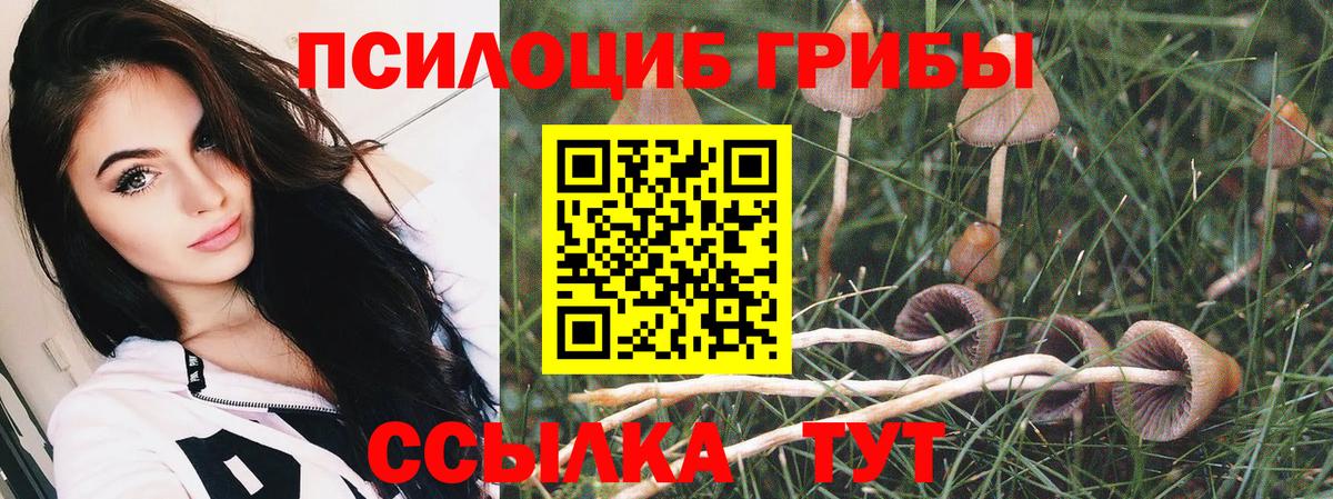 как найти закладки  Псилоцибиновые грибы ЛСД  Вход с VPN  Кизилюрт 