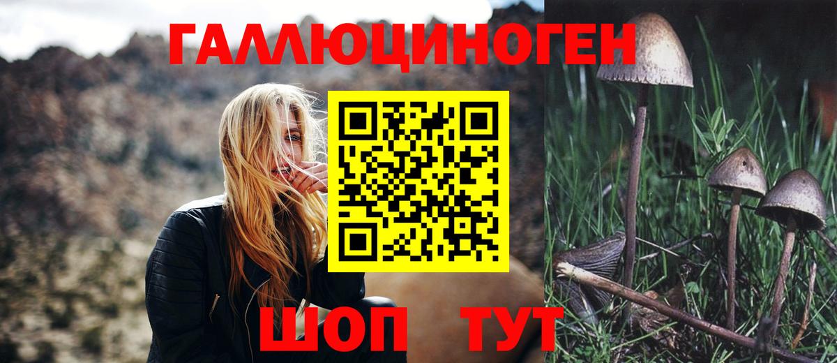 Псилоцибиновые грибы Magic Shrooms Кизилюрт